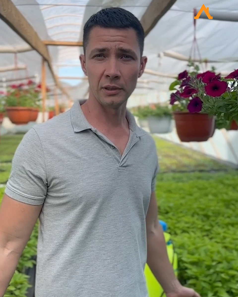 У огородника из Жлобина комиссия посчитала 40 тысяч растений