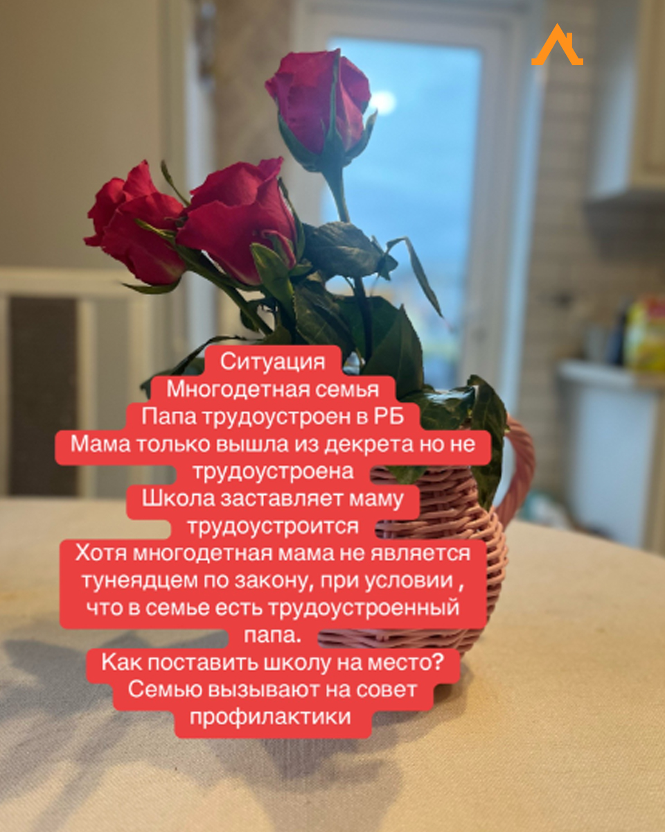 Школа требует, чтобы многодетная мать устроилась на работу. А что по закону –объясняем