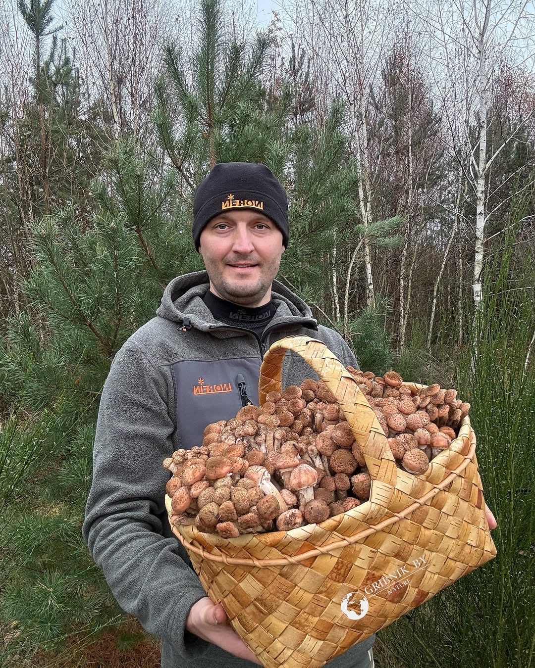 Сироп из белорусского клена: минчанин приготовил уникальный продукт из местного сырья
